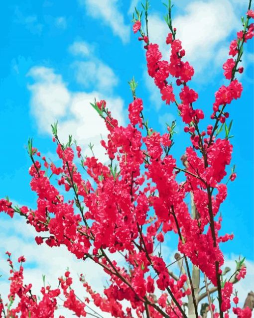 Blooming Peaches Tree Flowers Paint By Numbers