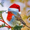 Christmas Robin Bird Paint By Numbers