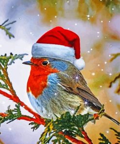 Christmas Robin Bird Paint By Numbers