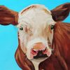 Cow Portrait Paint By Numbers