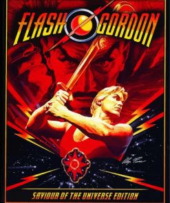 Flash Gordon Art Paint By Numbers