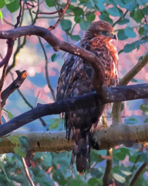 Hawks In A Forest Art Paint By Numbers