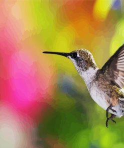 Hummingbird And Bee Paint By Numbers