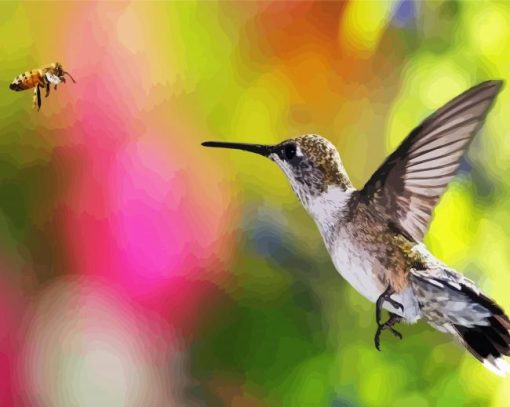 Hummingbird And Bee Paint By Numbers