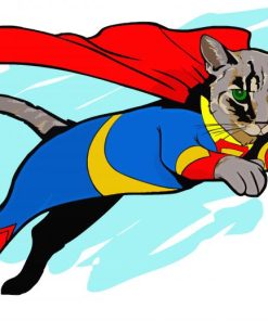 Illustration Superhero Cat Paint By Numbers