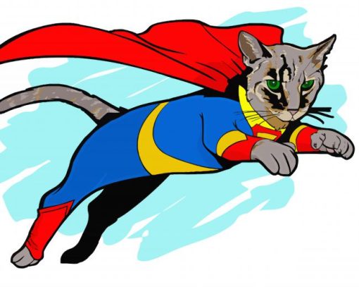 Illustration Superhero Cat Paint By Numbers