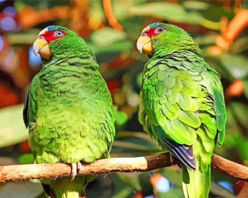 Kakariki Birds On Stick Paint By Numbers