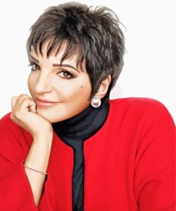 Liza Minnelli Paint By Numbers