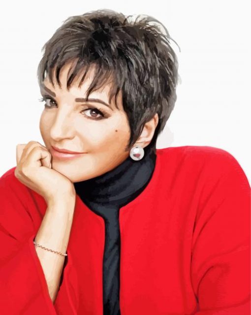 Liza Minnelli Paint By Numbers