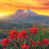 Mt St Helens With Red Poppies Paint By Numbers