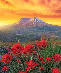 Mt St Helens With Red Poppies Paint By Numbers