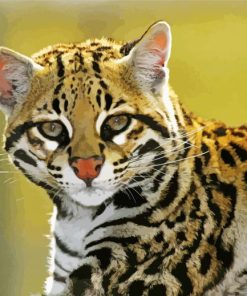 Ocelot Paint By Numbers