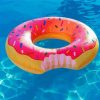 Pink Donut In Pool Paint By Numbers