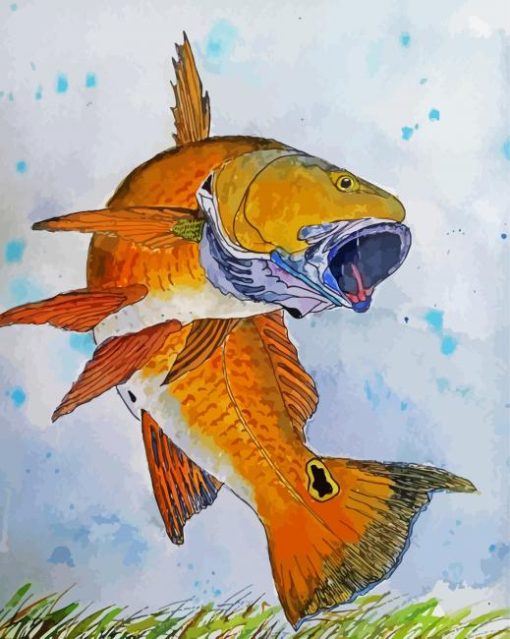 Red Drum Fish Art Paint By Numbers