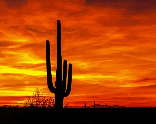 Sunset Saguaro National Park Paint By Numbers