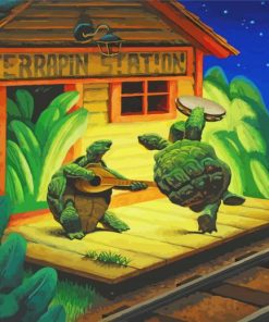 Terrapin Turtle In Station Paint By Numbers