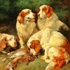 The Clumber Spaniels Dogs Paint By Numbers