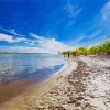 Toronto Beaches Paint By Numbers