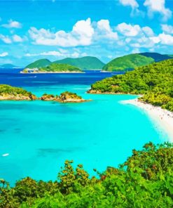 US Virgin Islands Beach View Paint By Numbers