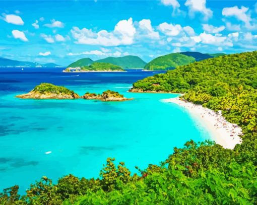 US Virgin Islands Beach View Paint By Numbers