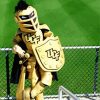 Ucf knights Mascot Paint By Numbers