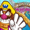 Wario Land The Shake Dimension Paint By Numbers