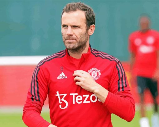 Aesthetic Juan Mata Paint By Numbers