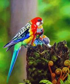 Aesthetic Rosellas Paint By Numbers