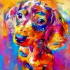 Colorful Dachshund Miniature Art Paint By Number Paint By Numbers