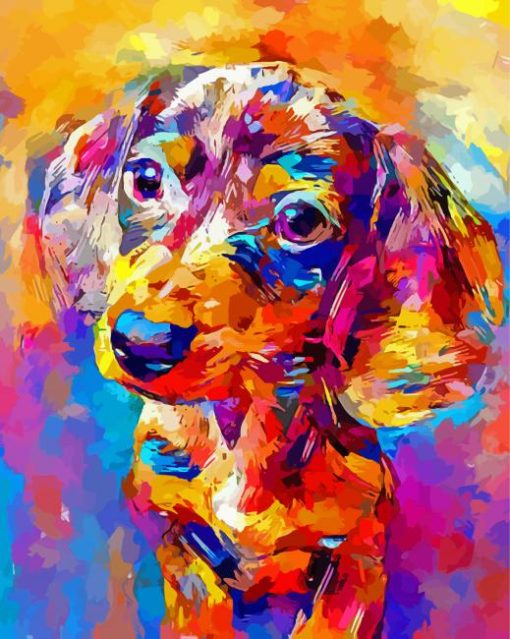 Colorful Dachshund Miniature Art Paint By Number Paint By Numbers