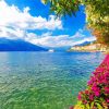 Flowers On The Lakeside Of Bellagio Province Of Como Paint By Numbers