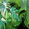 Green Jungle Plants Leaves Paint By Numbers