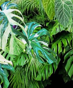 Green Jungle Plants Leaves Paint By Numbers