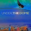 Under The Dome Poster Paint By Numbers