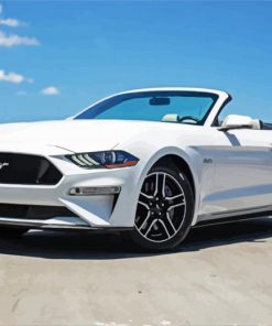 White 2018 GT Mustang Paint By Numbers