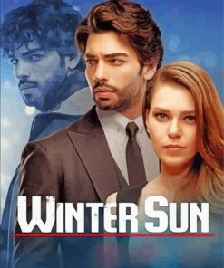 Winter Sun Poster Paint By Numbers