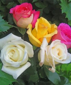 Yellow Pink And White Roses Paint By Numbers