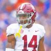 Alabama Crimson Tide Team Paint By Numbers