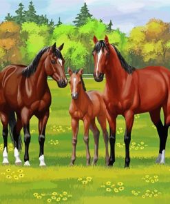 Bay Horses Paint By Numbers