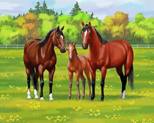 Bay Horses Paint By Numbers