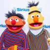 Bert And Ernie Paint By Numbers