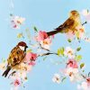 Birds And Blossom Art Paint By Number