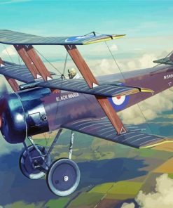 Black Fight Triplane Paint By Numbers