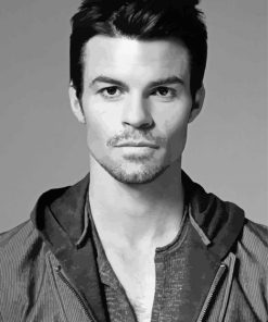 Black An White Daniel Gillies Paint By Numbers