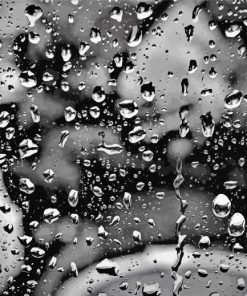 Black And White Rain Paint By Number