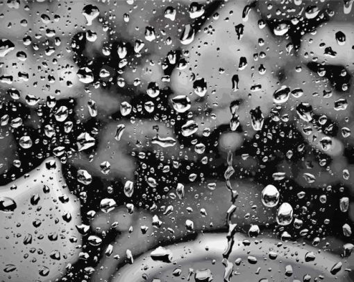 Black And White Rain Paint By Number