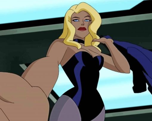 Black Canary Character Paint By Numbers