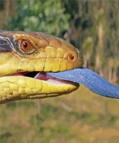 Blue Tongued Skink Head Paint By Numbers