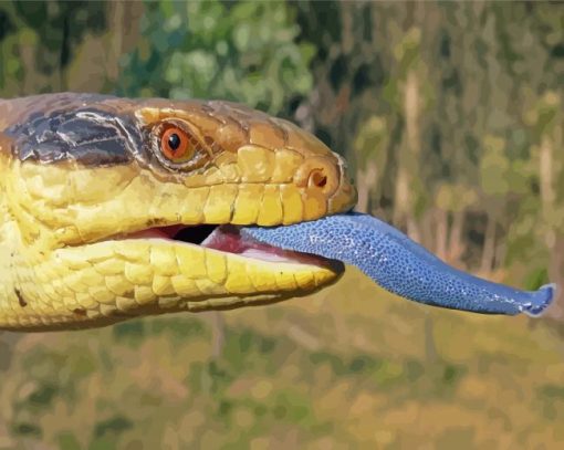 Blue Tongued Skink Head Paint By Numbers