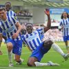 Brighton And Hove Albion Players Paint By Numbers